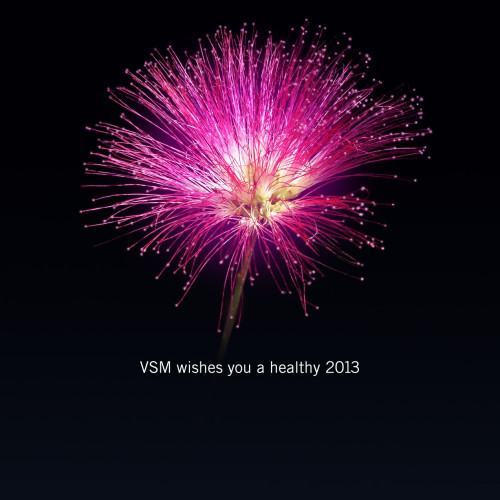 vsm-fireworks01